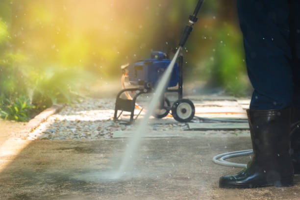 Best Fence Cleaning and Maintenance in Carpentersvle, IL